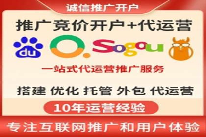 百度竞价与搜索引擎优化（SEO）的协同效应案例